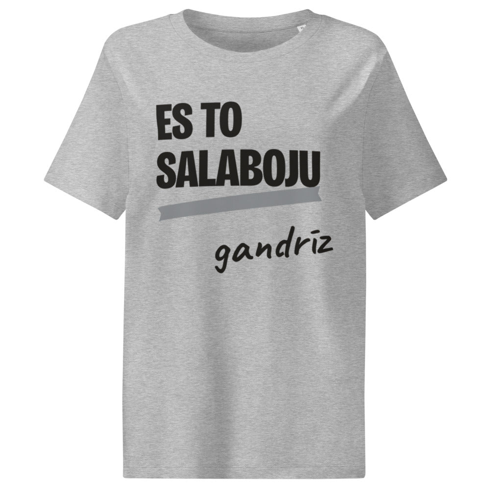Pelēks · priekšpuse – Es to salaboju, gandrīz